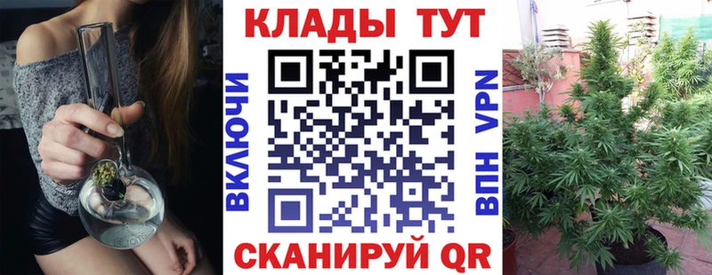Где можно купить наркотики Лодейное Поле Амфетамин Каннабис COCAIN Мефедрон ГАШ APVP