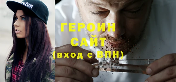 индика Новодвинск