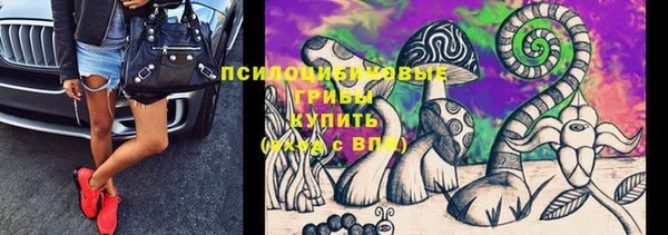 спиды Няндома