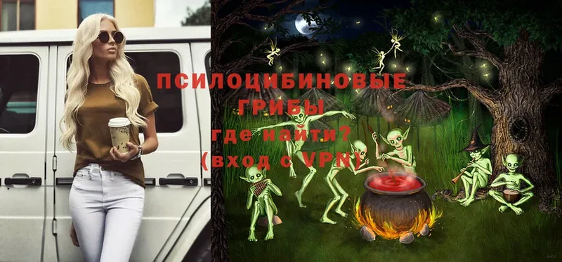 Галлюциногенные грибы MAGIC MUSHROOMS  купить  сайты  Лодейное Поле 